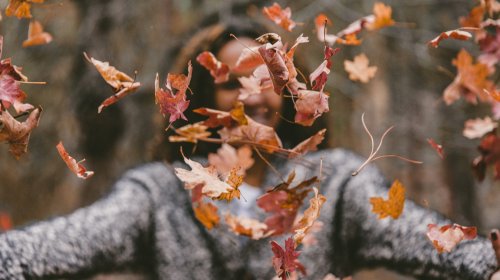 Autumn Winter Breaks