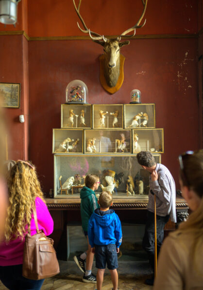 2024 National Heritage Week Stradbally House Co. Laois TI7196M