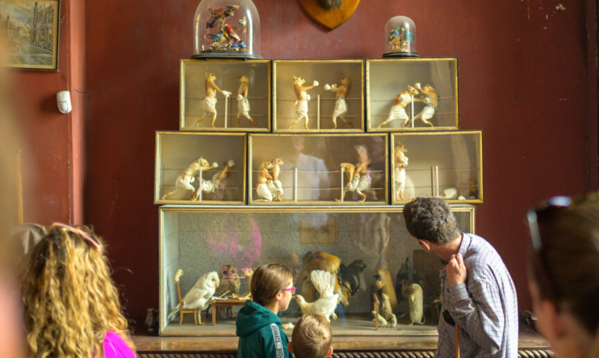 2024 National Heritage Week Stradbally House Co. Laois TI7196M