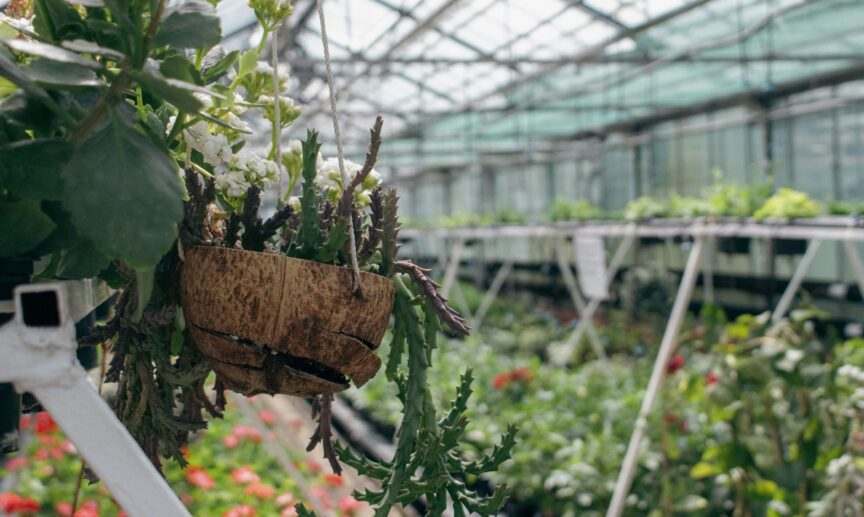 annie smurova yiDQUhnJNk4 unsplash