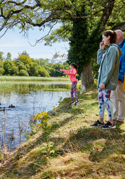 Emo Court Co Laois master