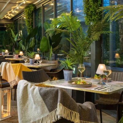 Terrace 5