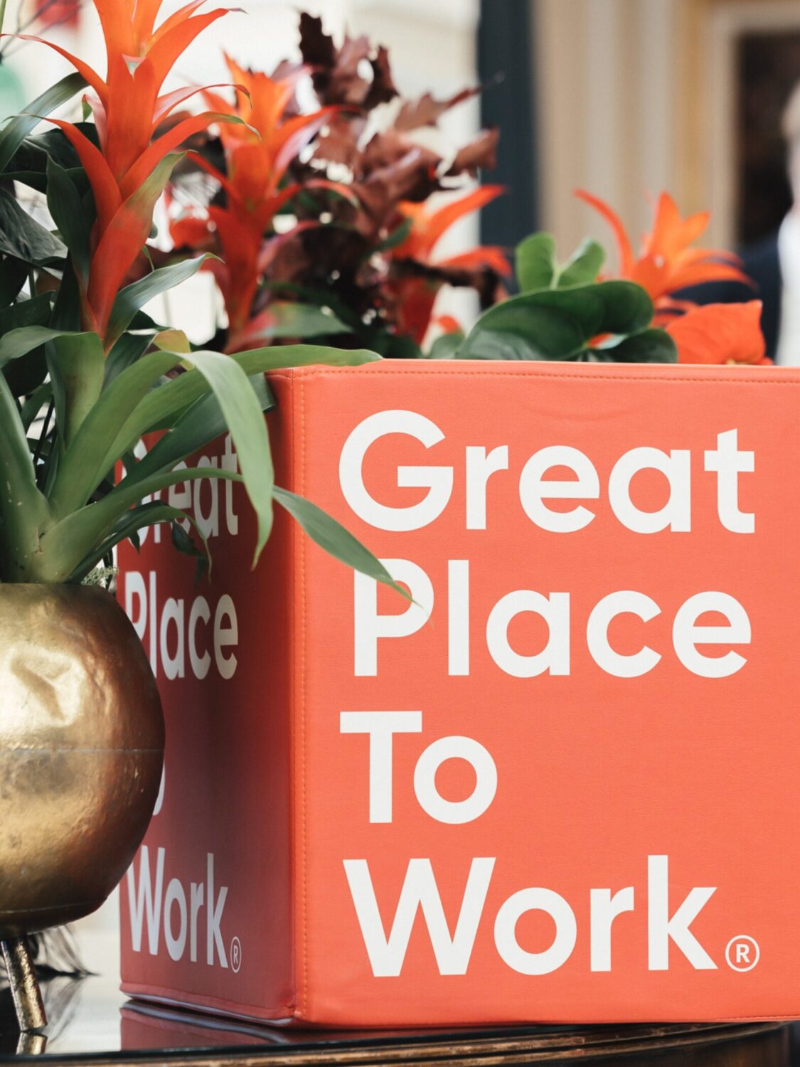 WEBSITE PORTRAIT IMAGERY